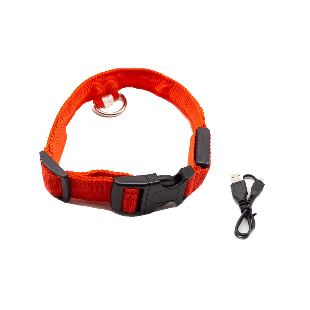 BIPETS - Collar Luminoso Perro Recargable con USB/Tipo C - Collar Perro Luz  con 3 Modos de Iluminación LED e Impermeable - Collar Luz Perro de  Seguridad y Resistente : : Productos para mascotas